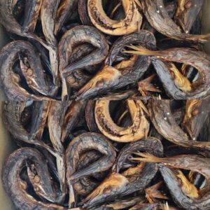 Kini Fish - $20 per pack