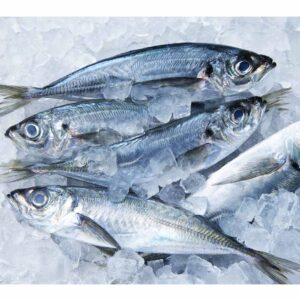 Horse Mackerel (JACK)(400g) 40LB